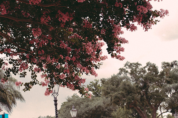 Disney 2010 01